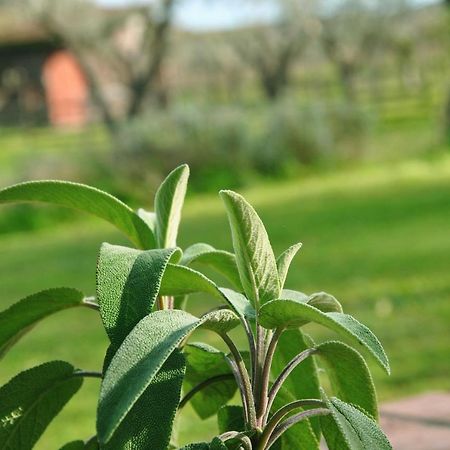 Agriturismo La Mandragola Relais Crotone Exteriér fotografie