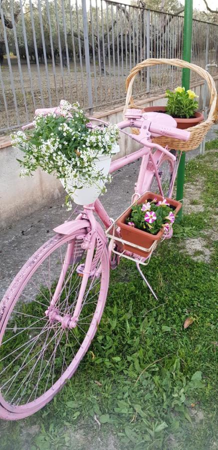 Agriturismo La Mandragola Relais Crotone Exteriér fotografie