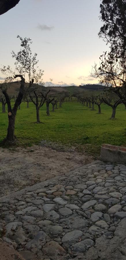 Agriturismo La Mandragola Relais Crotone Exteriér fotografie