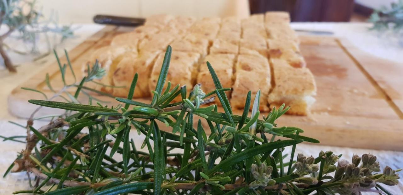 Agriturismo La Mandragola Relais Crotone Exteriér fotografie