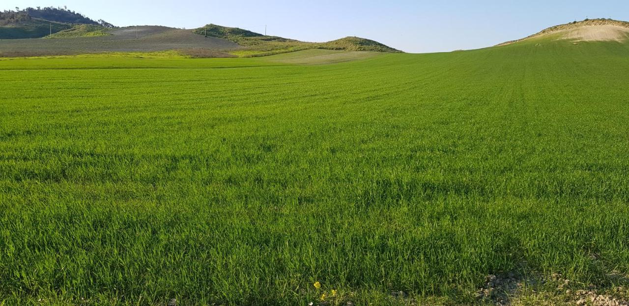 Agriturismo La Mandragola Relais Crotone Exteriér fotografie