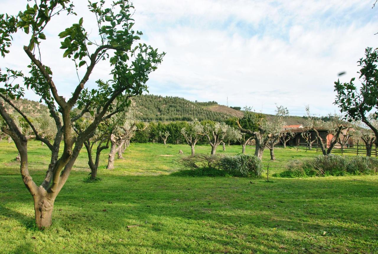 Agriturismo La Mandragola Relais Crotone Exteriér fotografie