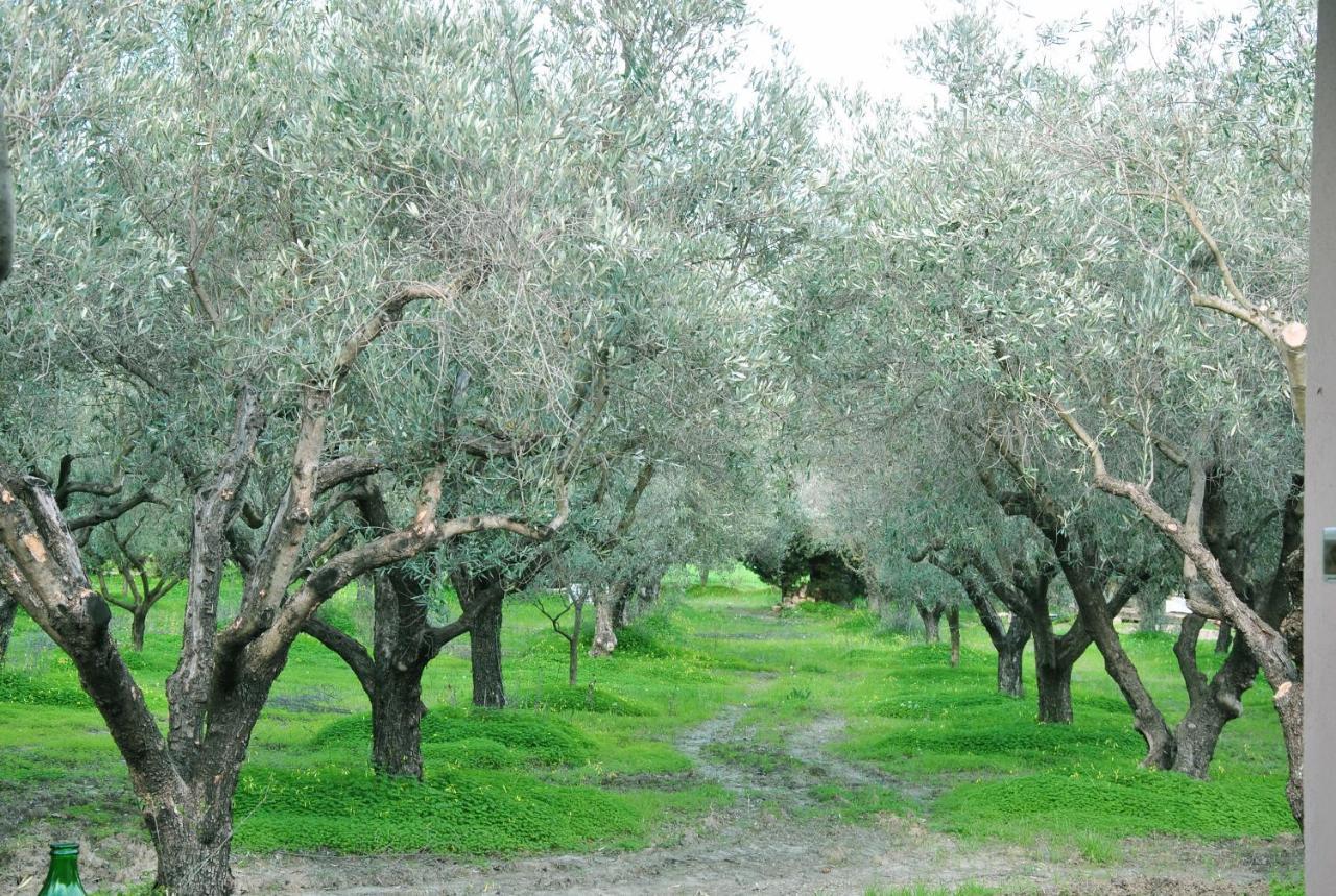 Agriturismo La Mandragola Relais Crotone Exteriér fotografie